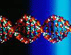 DNA Chain
