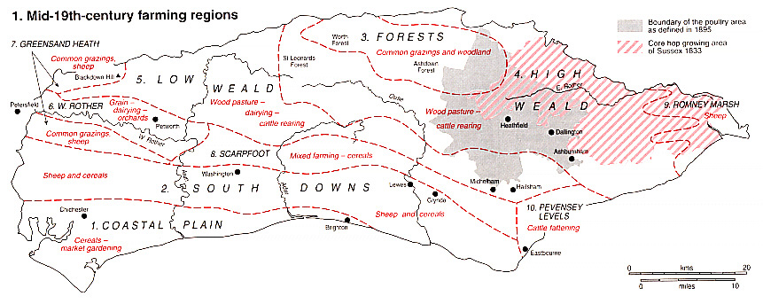 Farming in Sussex in the mid-19th Century